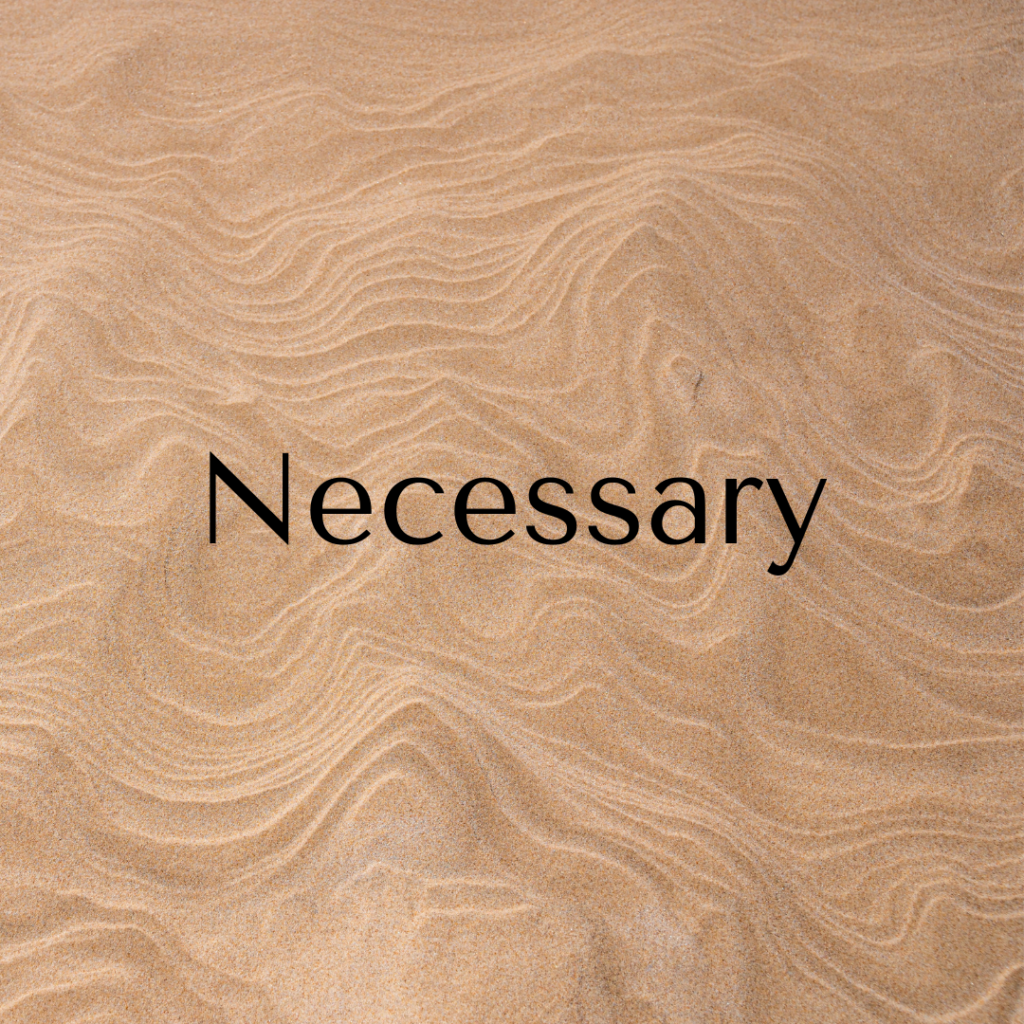 Necessary ZA Logo